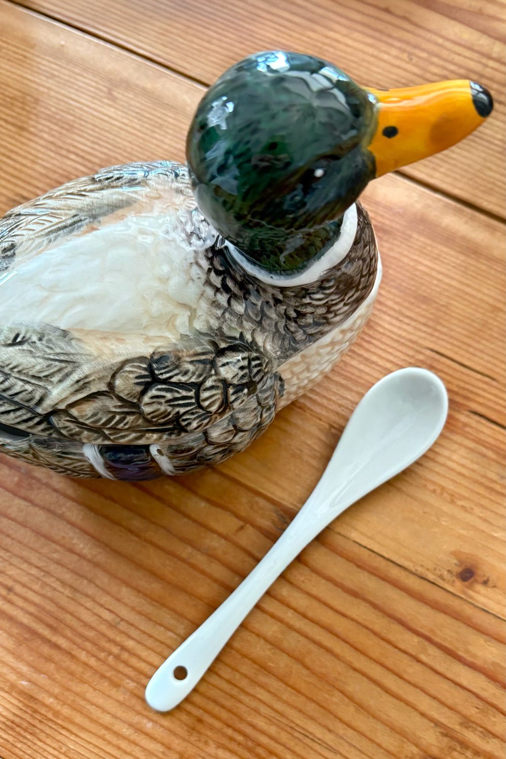 Detalle Cuchara Recipiente Con Tapa Y Cuchara Diseño Pato Cristina Oria