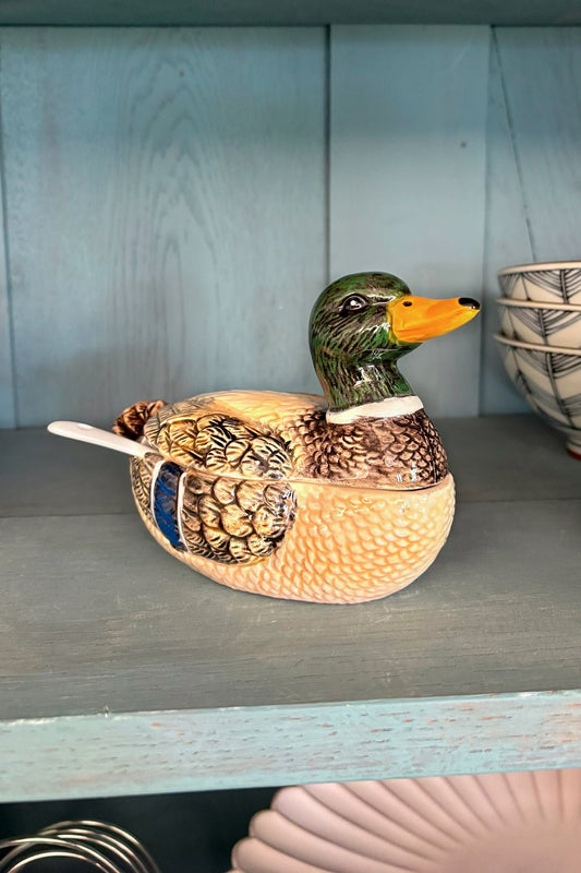 Recipiente Con Tapa Y Cuchara Diseño Pato