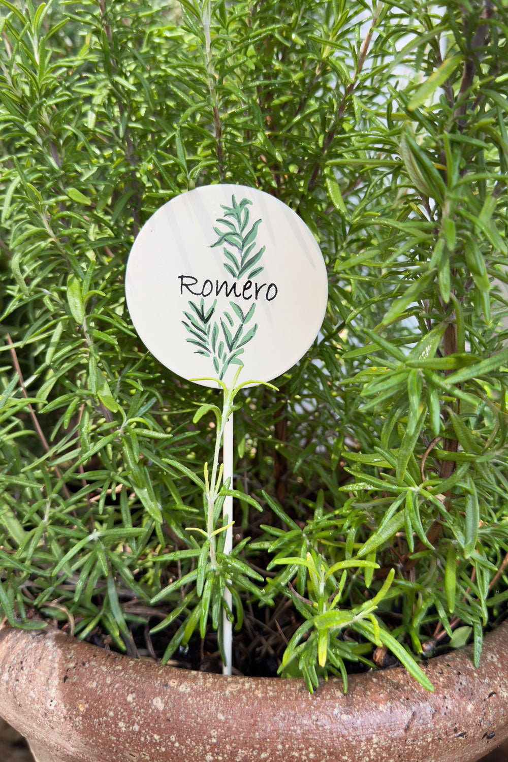 Gartenschild Rosmarin