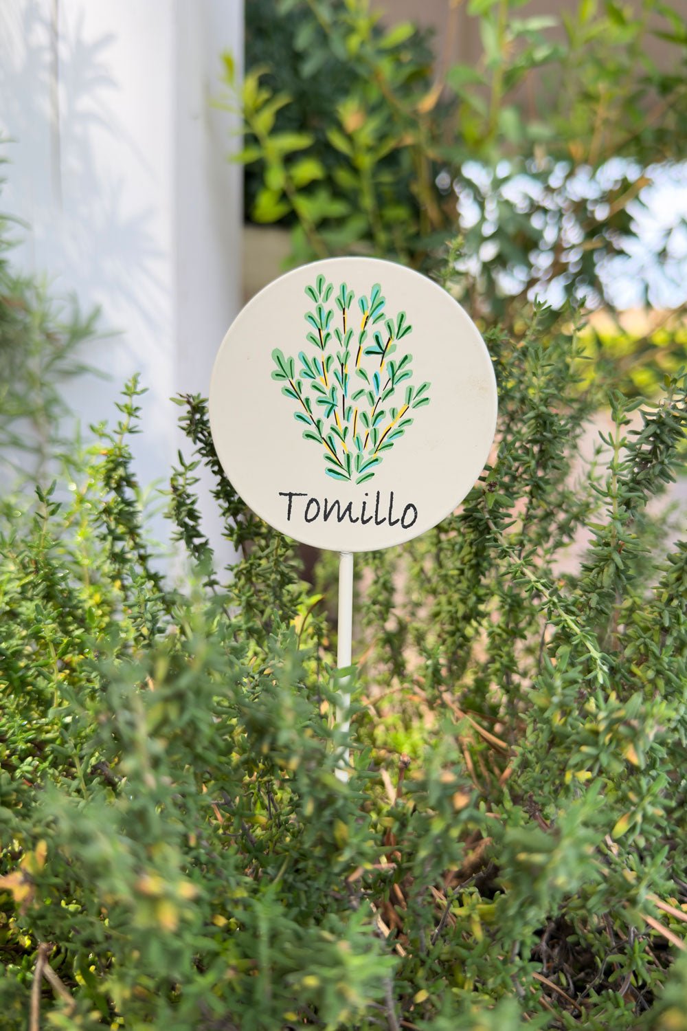 Gartenschild Thymian