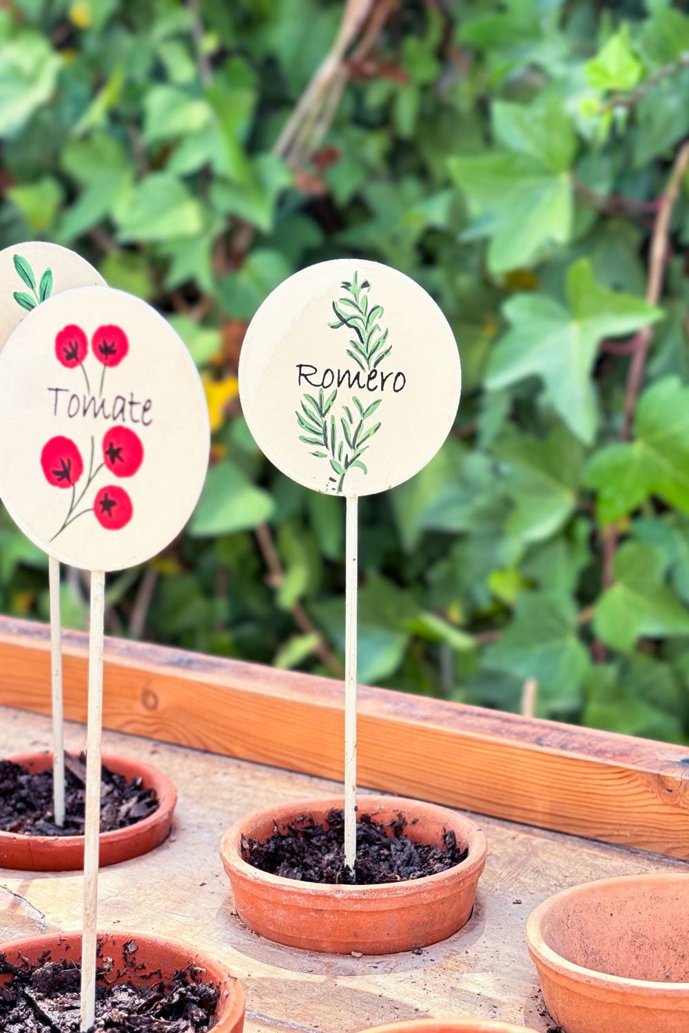 Gartenschild Rosmarin