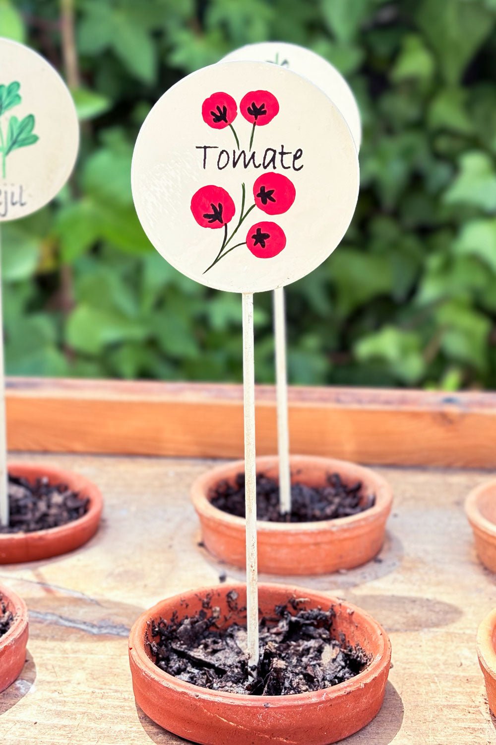 Pflanzenschild für Tomaten im Garten