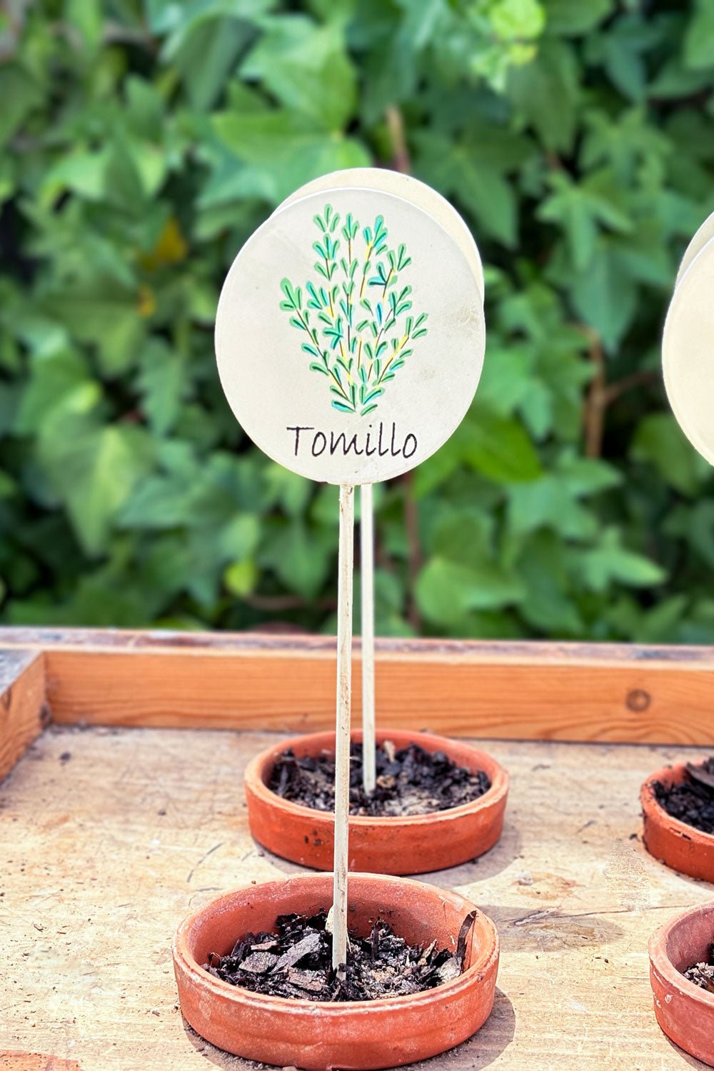 Gartenschild Thymian