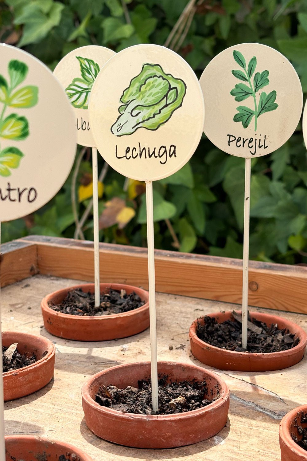 Gartenschild Petersilie