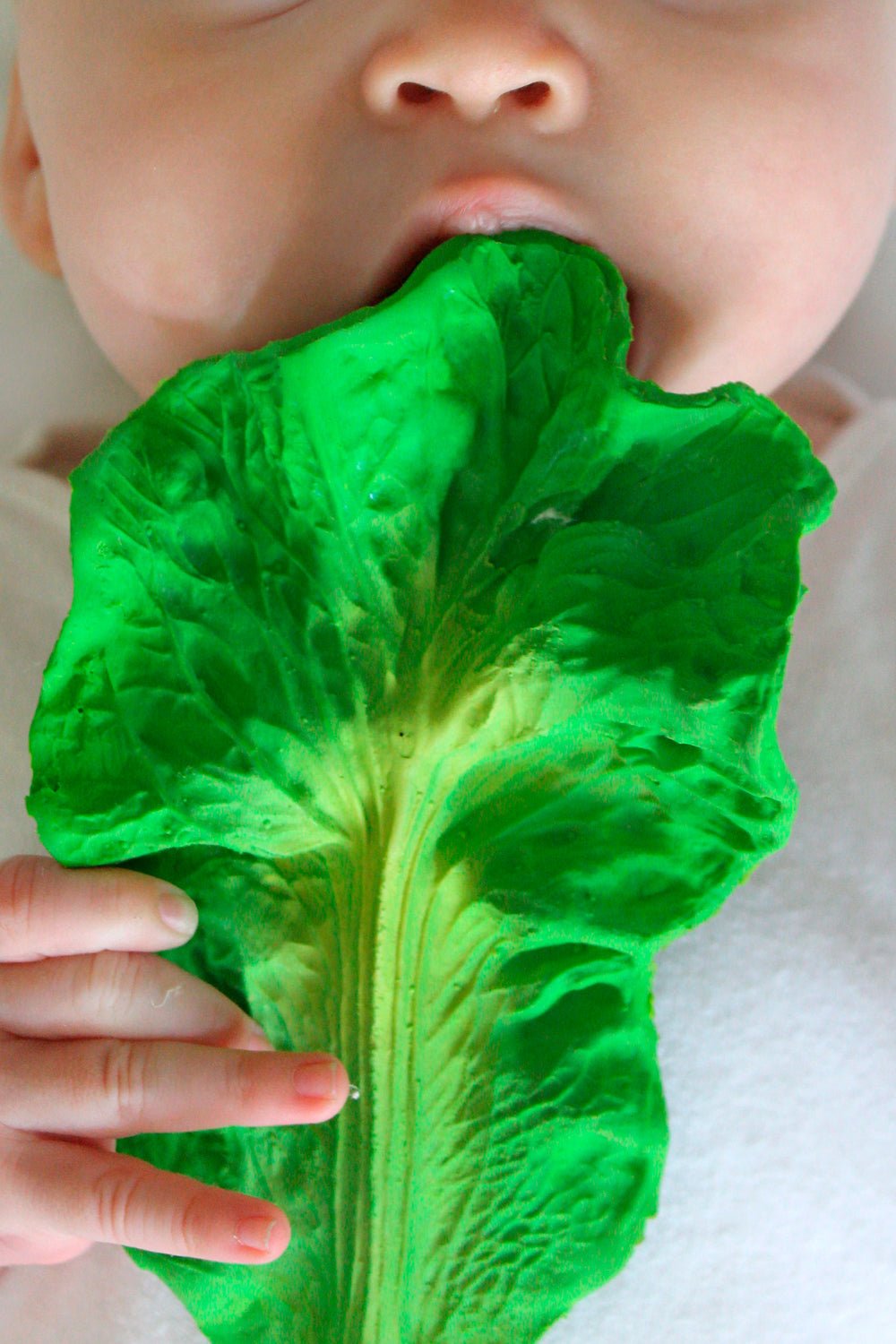 Detalle Mordedor Para Bebés Con Diseño De Kale Cristina Oria