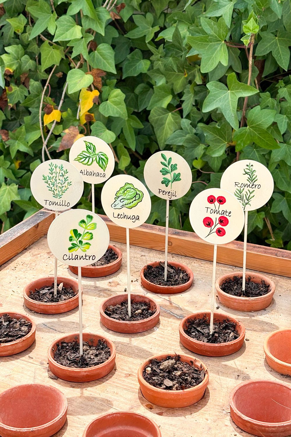Schild für Gartenpflanzen – Kopfsalat