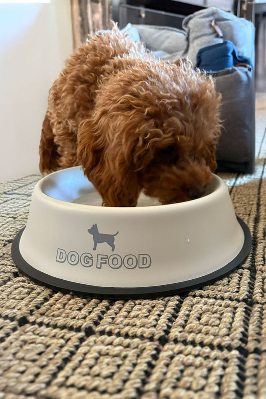 Comedero para Perros Cristina Oria