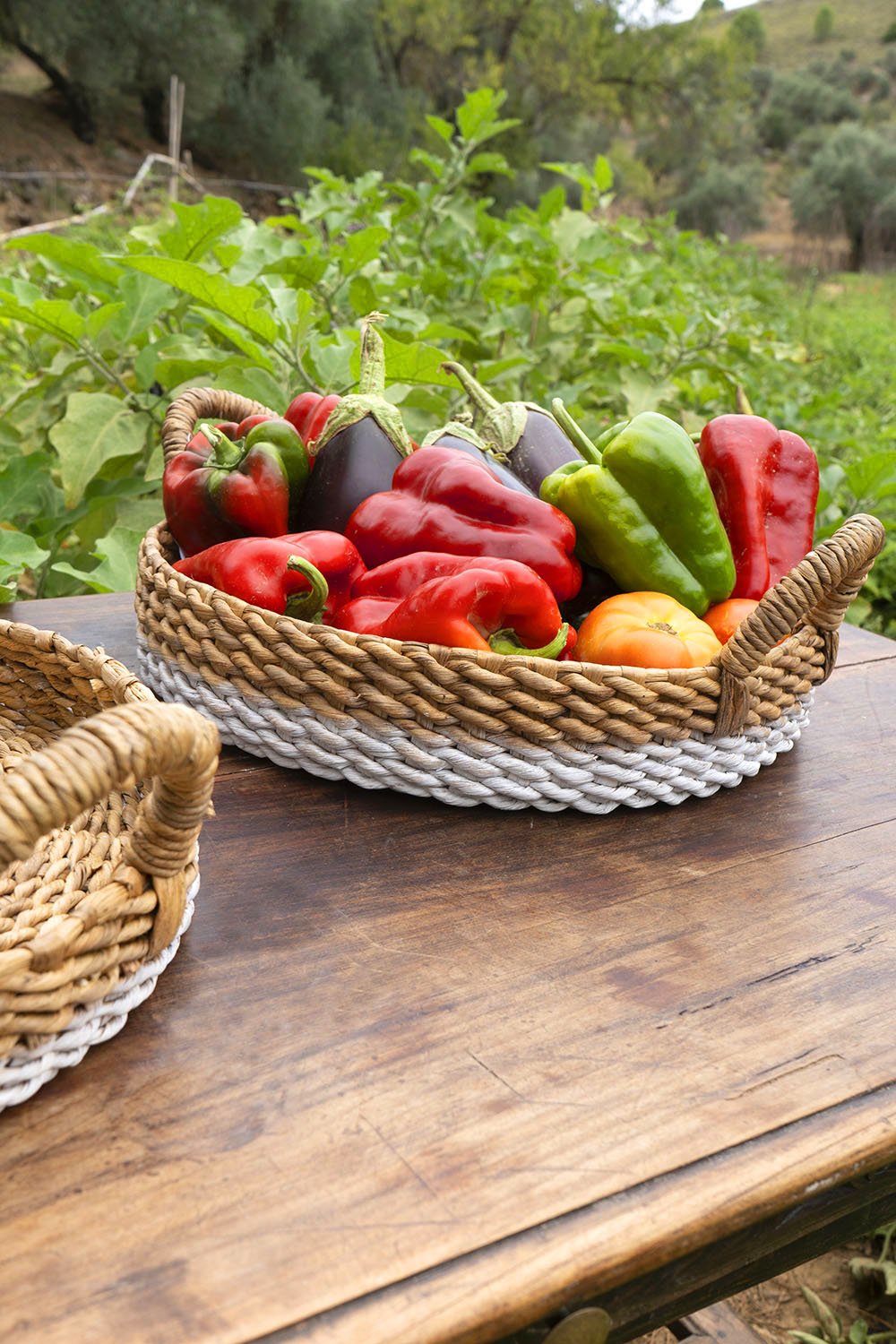 Cesta De Mimbre Bicolor - Cristina Oria