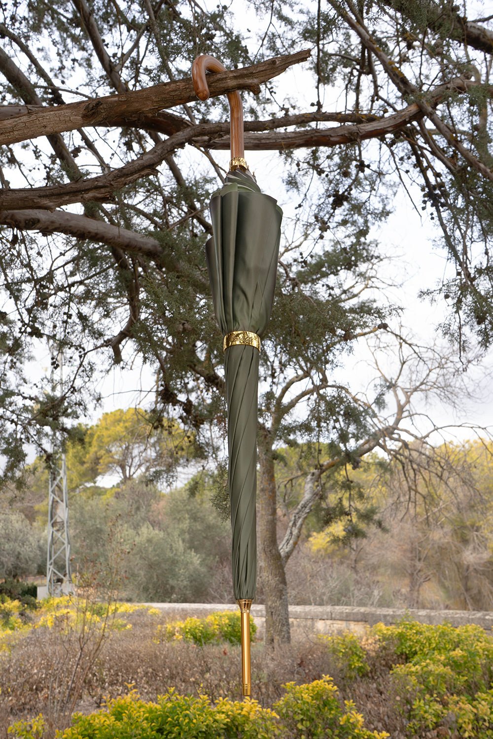 Paraguas Pasotti Verde Con Interior De Flor Verde - Cristina Oria