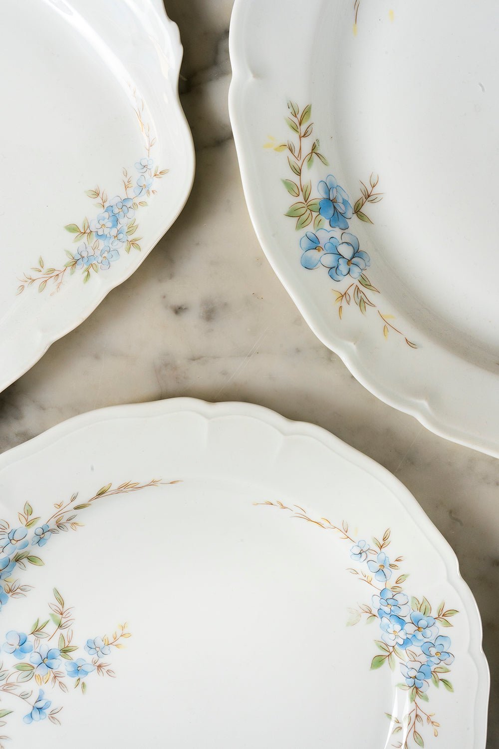 Vajilla Limoges Flores Celestes 62 Piezas - Cristina Oria