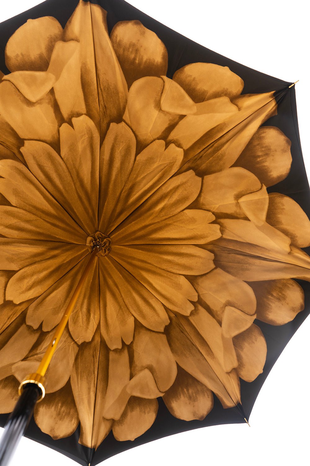 Paraguas Pasotti Negro Con Interior De Flor Dorada - Cristina Oria