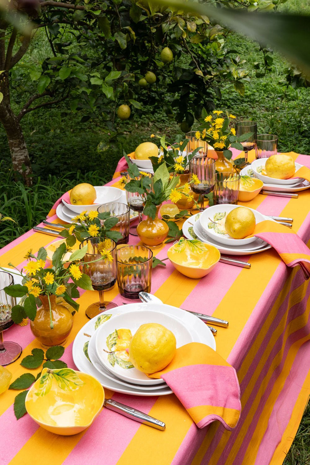 Mesa Rayas & Limones