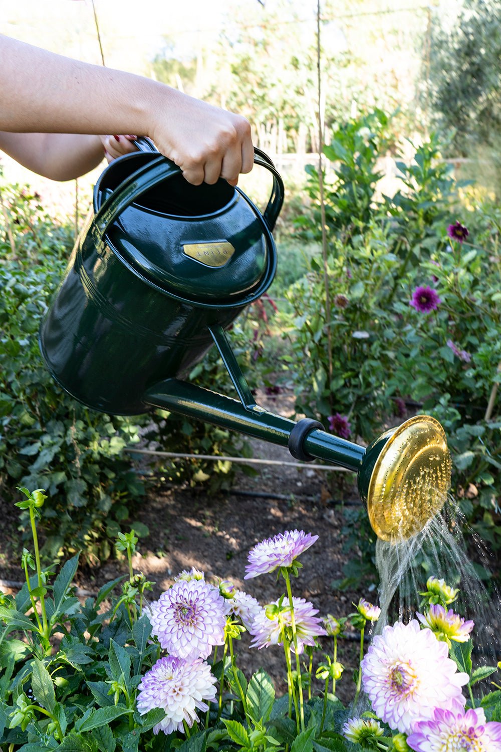 HUERTO, JARDINERÍA Y PICNIC - Cristina Oria