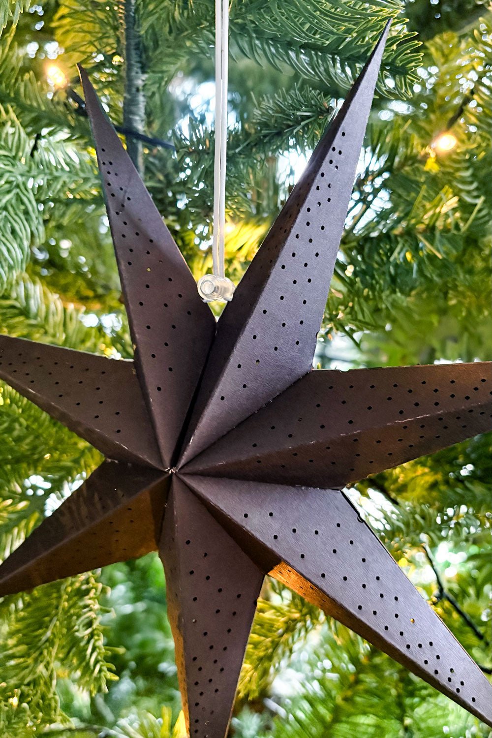 Detalle Adorno Estrella Negra Cristina Oria 