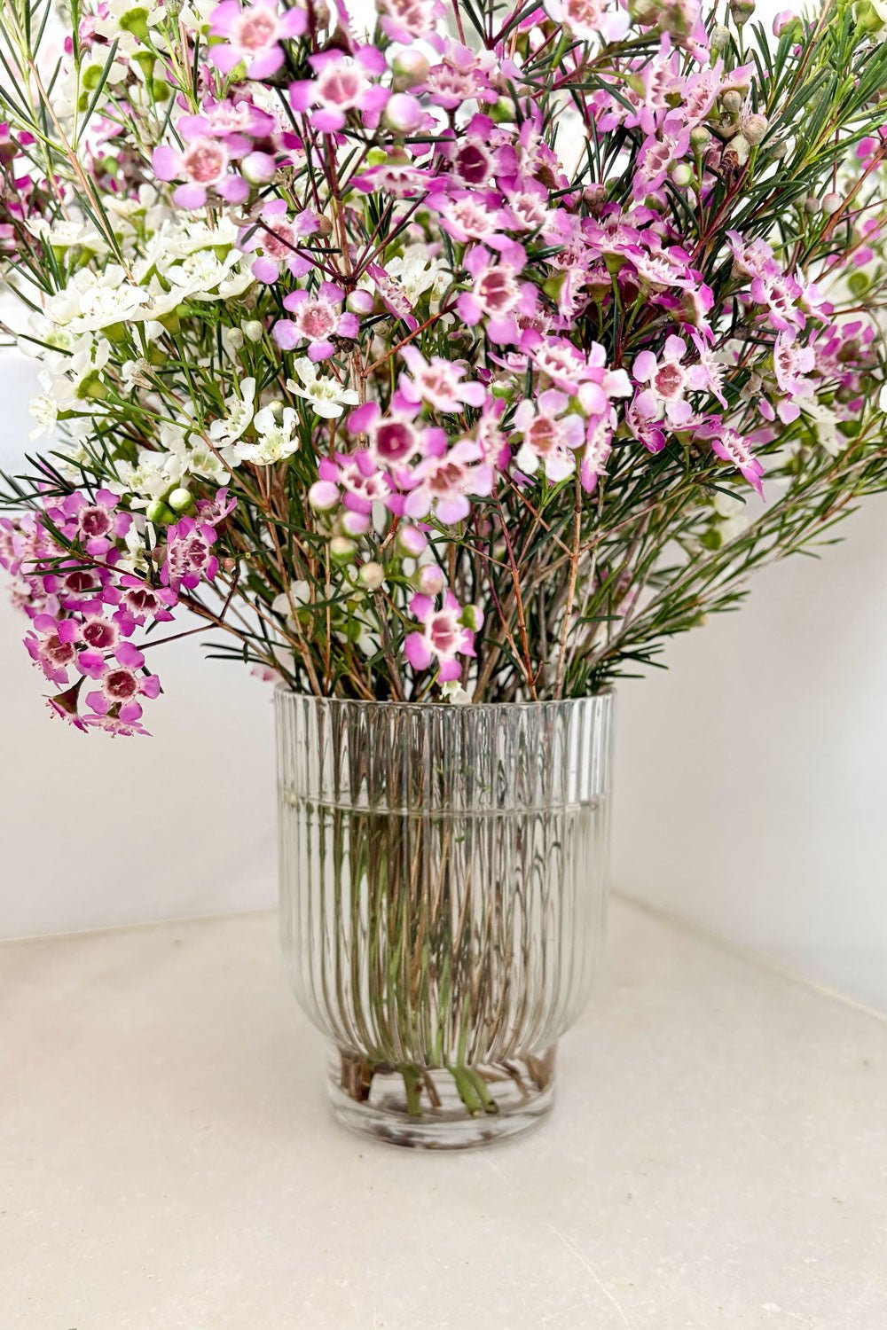 Jarrón Grande De Cristal Alba Cristina Oria