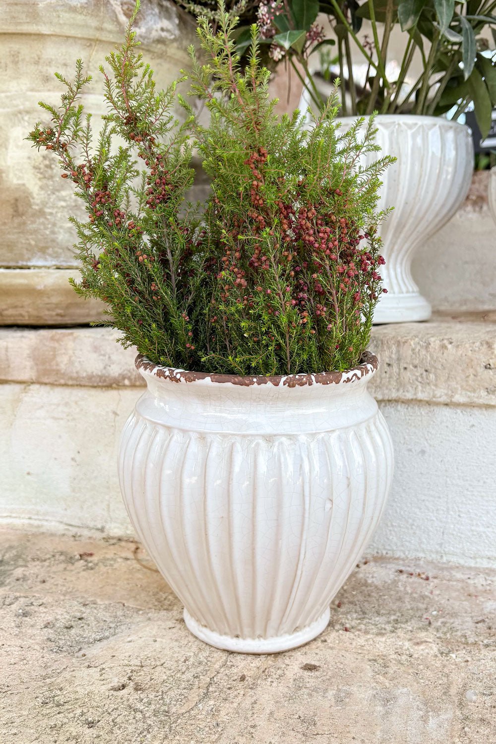 Jarrón Diseño Vasija De Porcelana Blanco Roto Cristina Oria