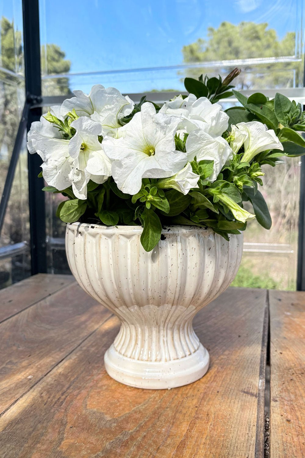 Flores Blancas Jarrón Diseño Copa De Porcelana Blanco Roto Grande Cristina Oria