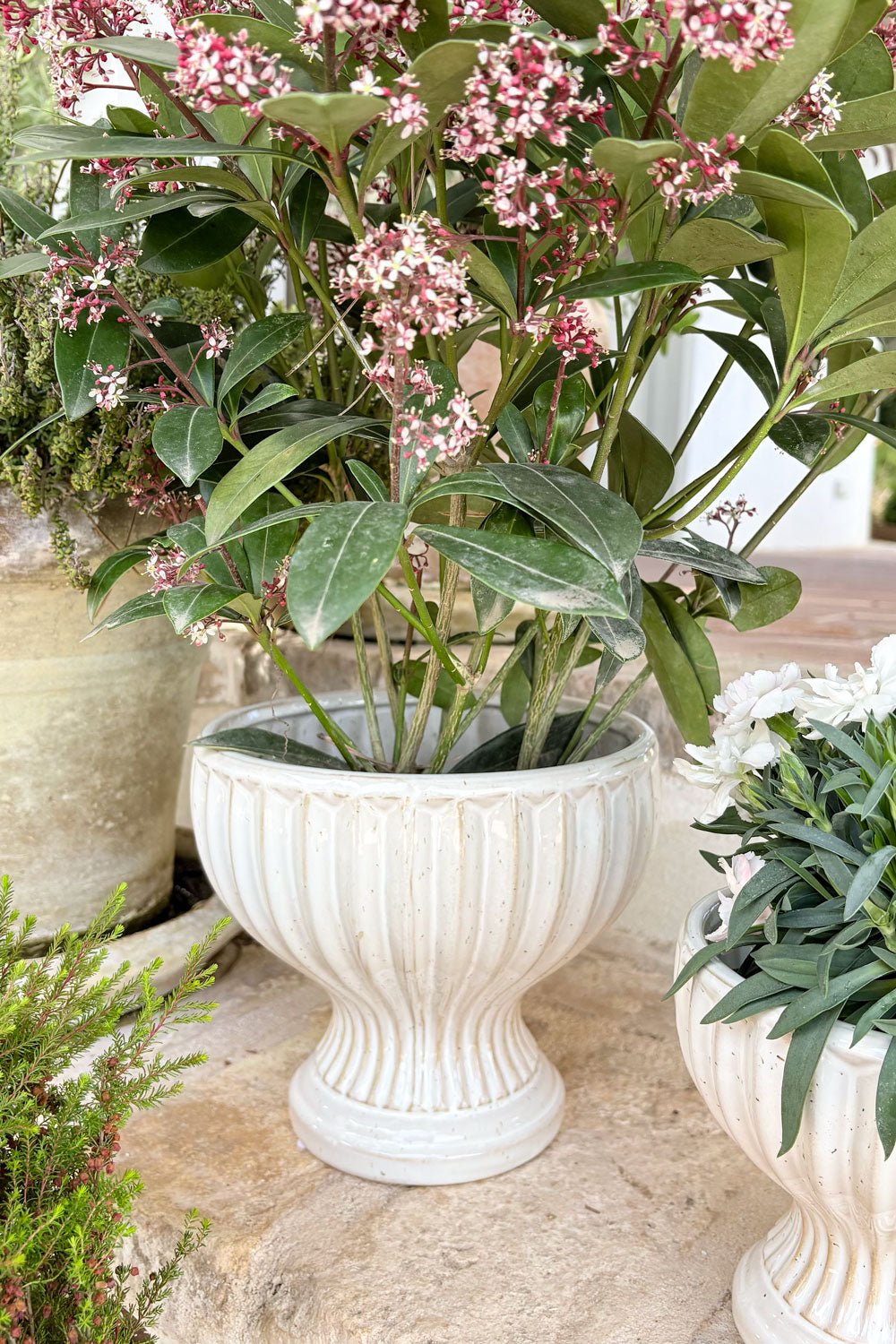 Jarrón Diseño Copa De Porcelana Blanco Roto Grande Cristina Oria