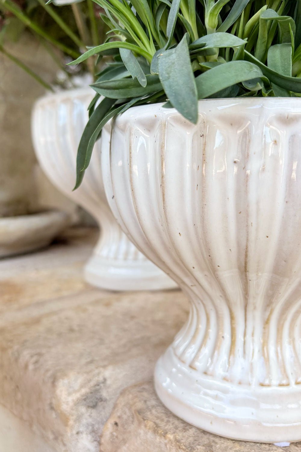 Detalles Jarrón Diseño Copa De Porcelana Blanco Roto Grande Cristina Oria