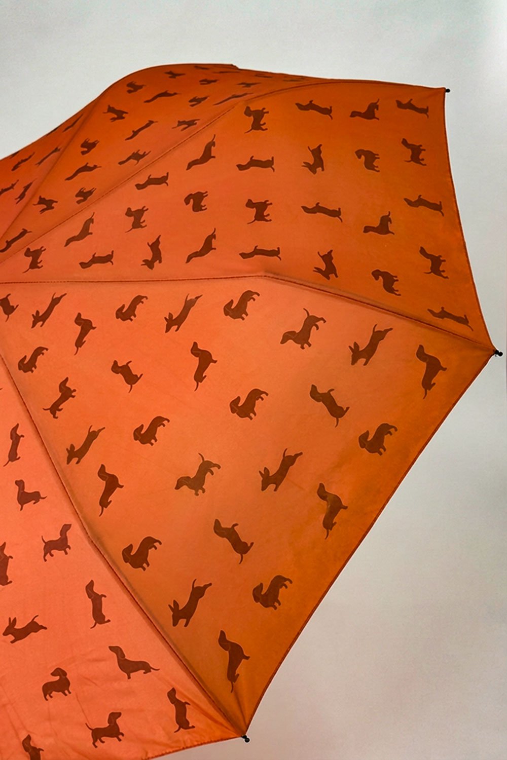 Detalle Paraguas Teckel Marrón Cristina Oria 