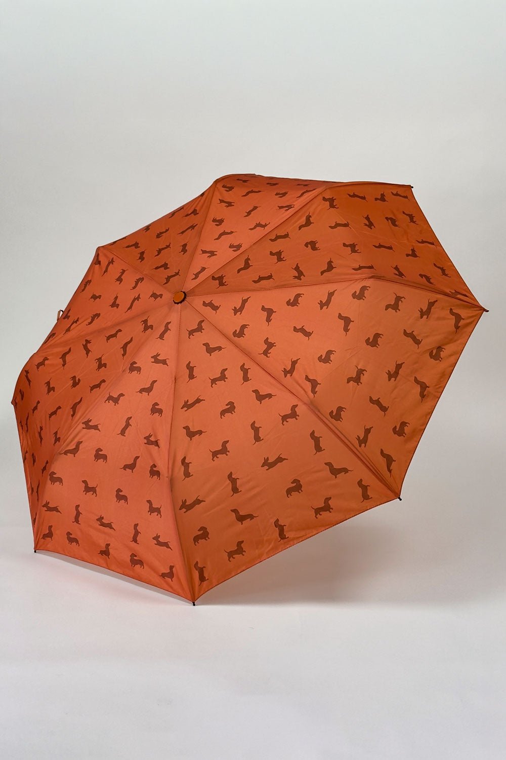 Detalle Paraguas Teckel Marrón Cristina Oria 