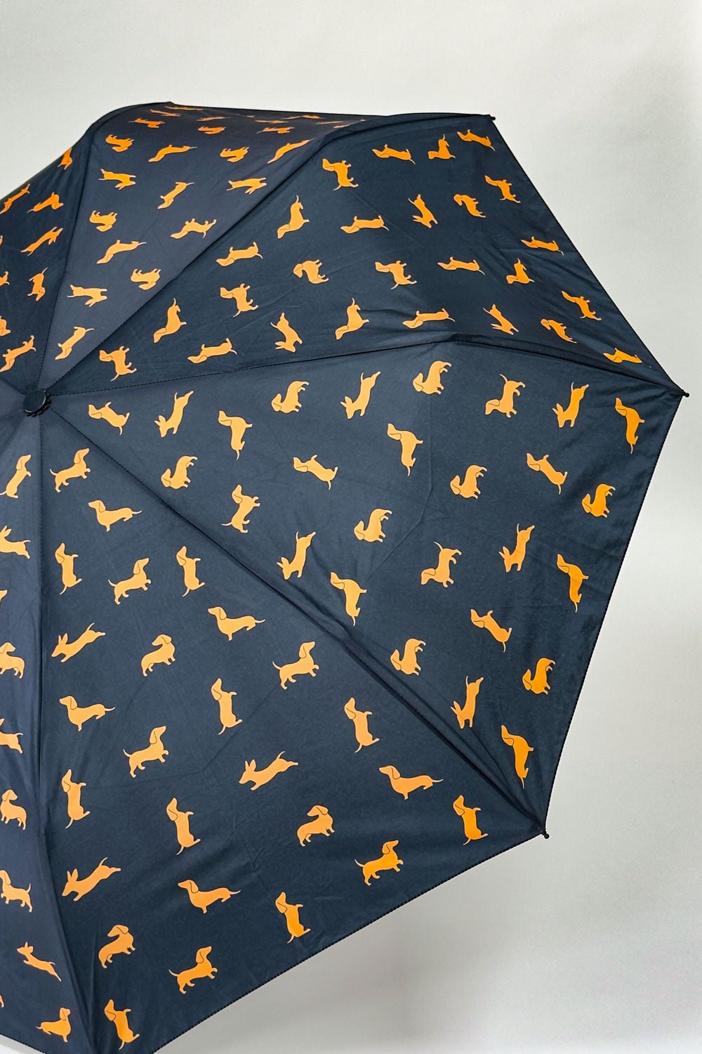 Detalle Paraguas Teckel Negro Cristina Oria 