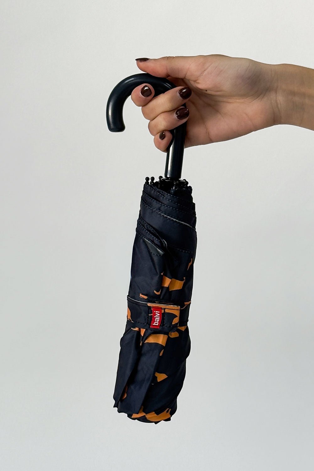 Detalle Sin Funda Paraguas Teckel Negro Cristina Oria 