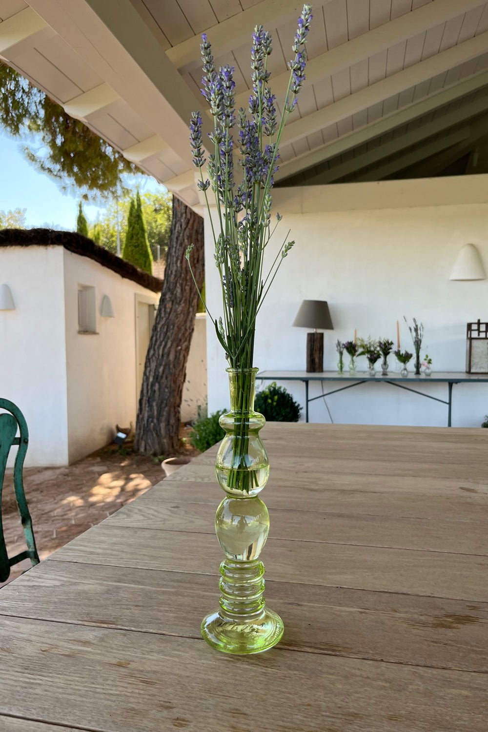 Florero De Cristal Con Diseño Florencia Verde Claro Grande con Lavanda