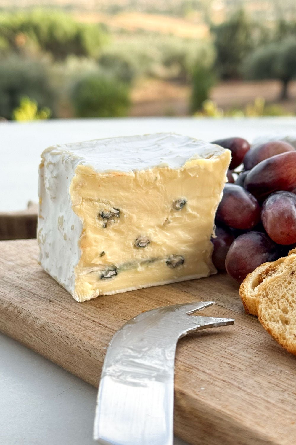 Queijo Azul Cremoso 180 g