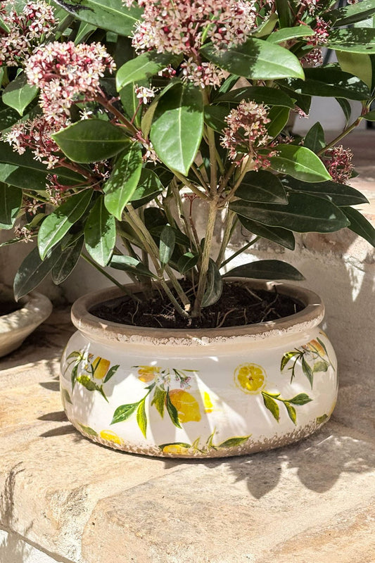 Jarrón De Cerámica Envejecido Bajo Diseño Limones Cristina Oria