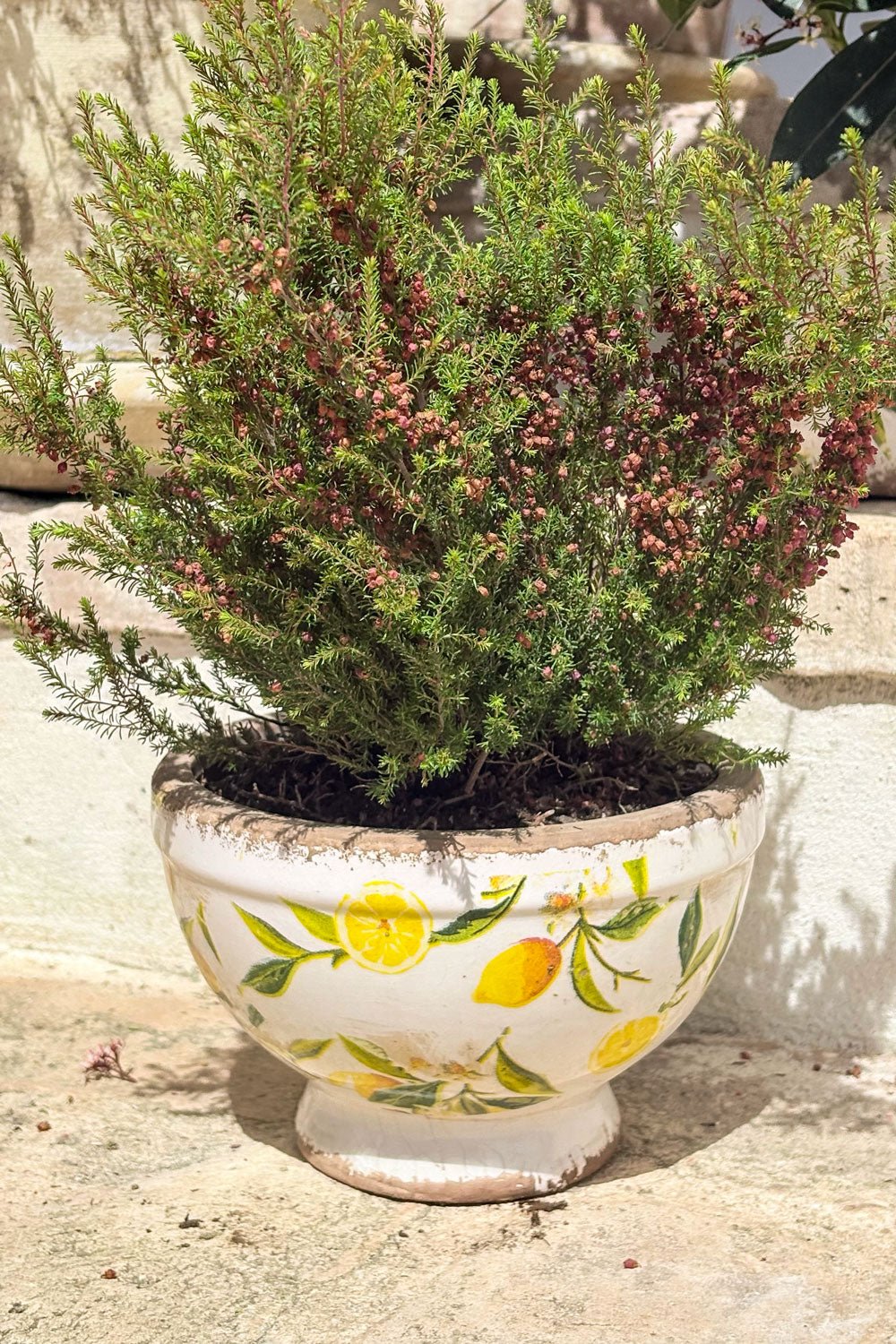 Jarrón De Cerámica Envejecido Con Base Diseño Limones Cristina Oria