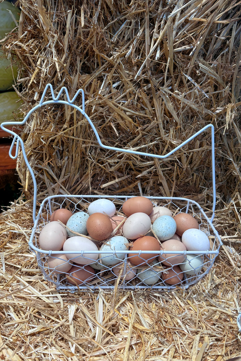 Detalles Cesta Diseño Gallina De Hierro Cristina Oria
