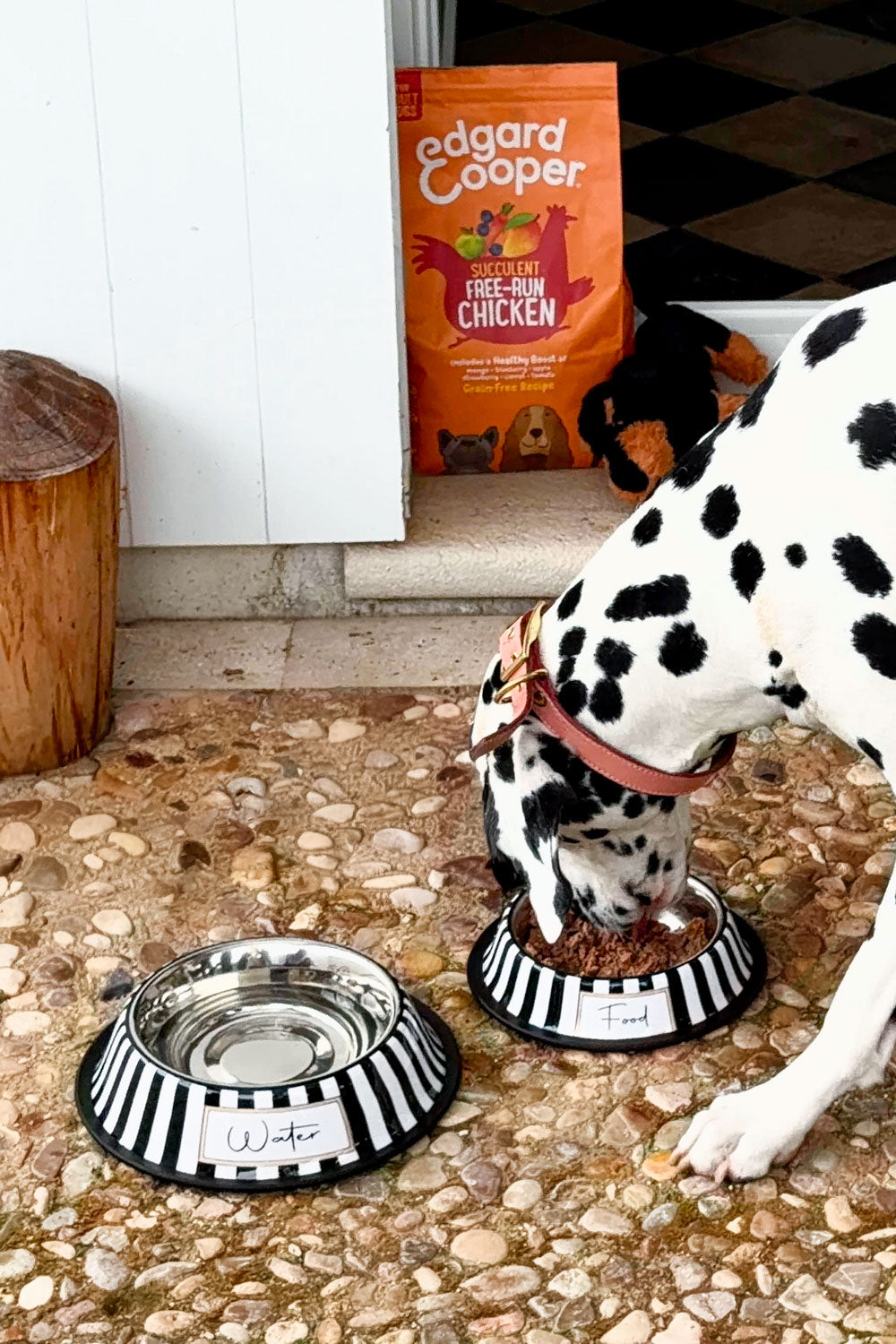 Detalle Dálmata Comedero Para Mascotas Pintado A Mano Blanco Y Negro Cristina Oria