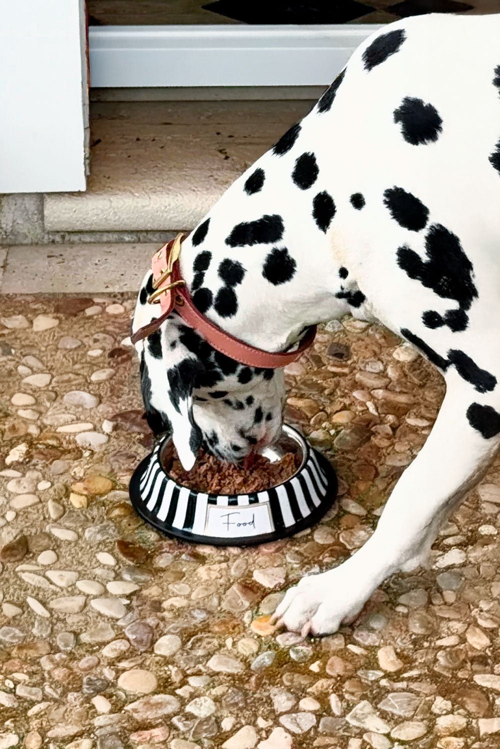 Comedero Para Mascotas Pintado A Mano Blanco Y Negro