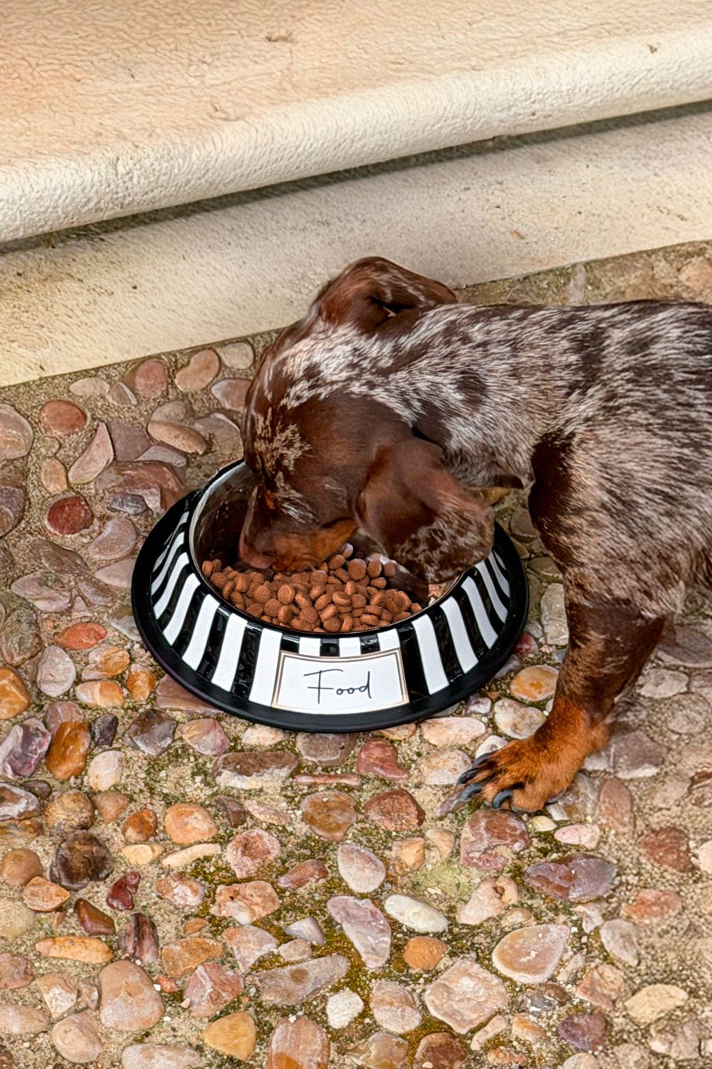 Comedero Para Mascotas Pintado A Mano Blanco Y Negro