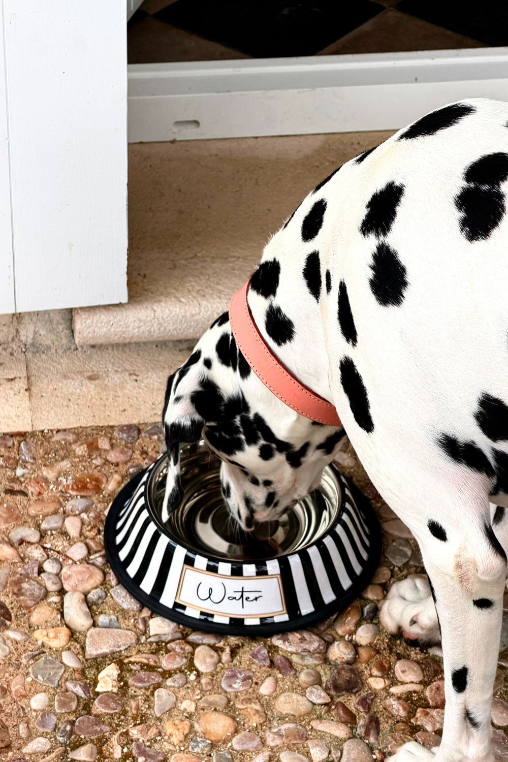 Detalle Dálmata Bebedero Para Mascotas Pintado A Mano Blanco Y Negro Cristina Oria