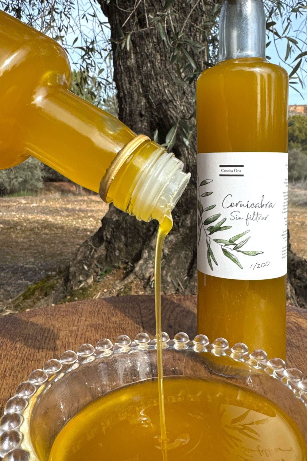 Detalle Aceite CO Cornicabra Sin Filtrar Cosecha Diciembre 2025 Cristina Oria 
