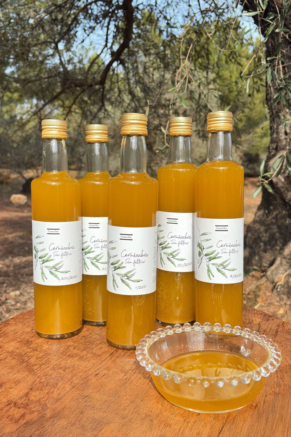 Detalle Composición Aceite CO Cornicabra Sin Filtrar Cosecha Diciembre 2025 Cristina Oria 