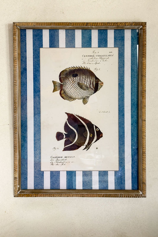 Cuadros Diseño Océano Cristina Oria