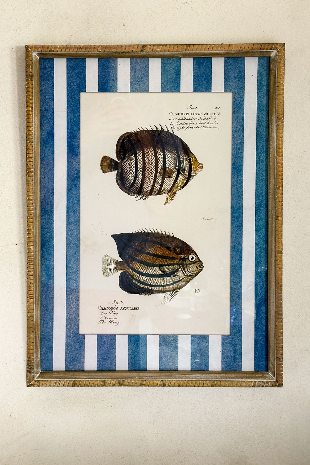 Dos Peces Cuadros Diseño Océano Cristina Oria