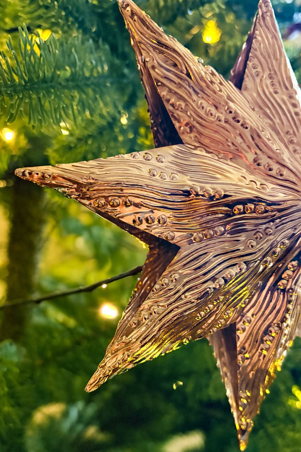 Detalle Textura Adorno Estrella Metálica Dorada Cristina Oria 