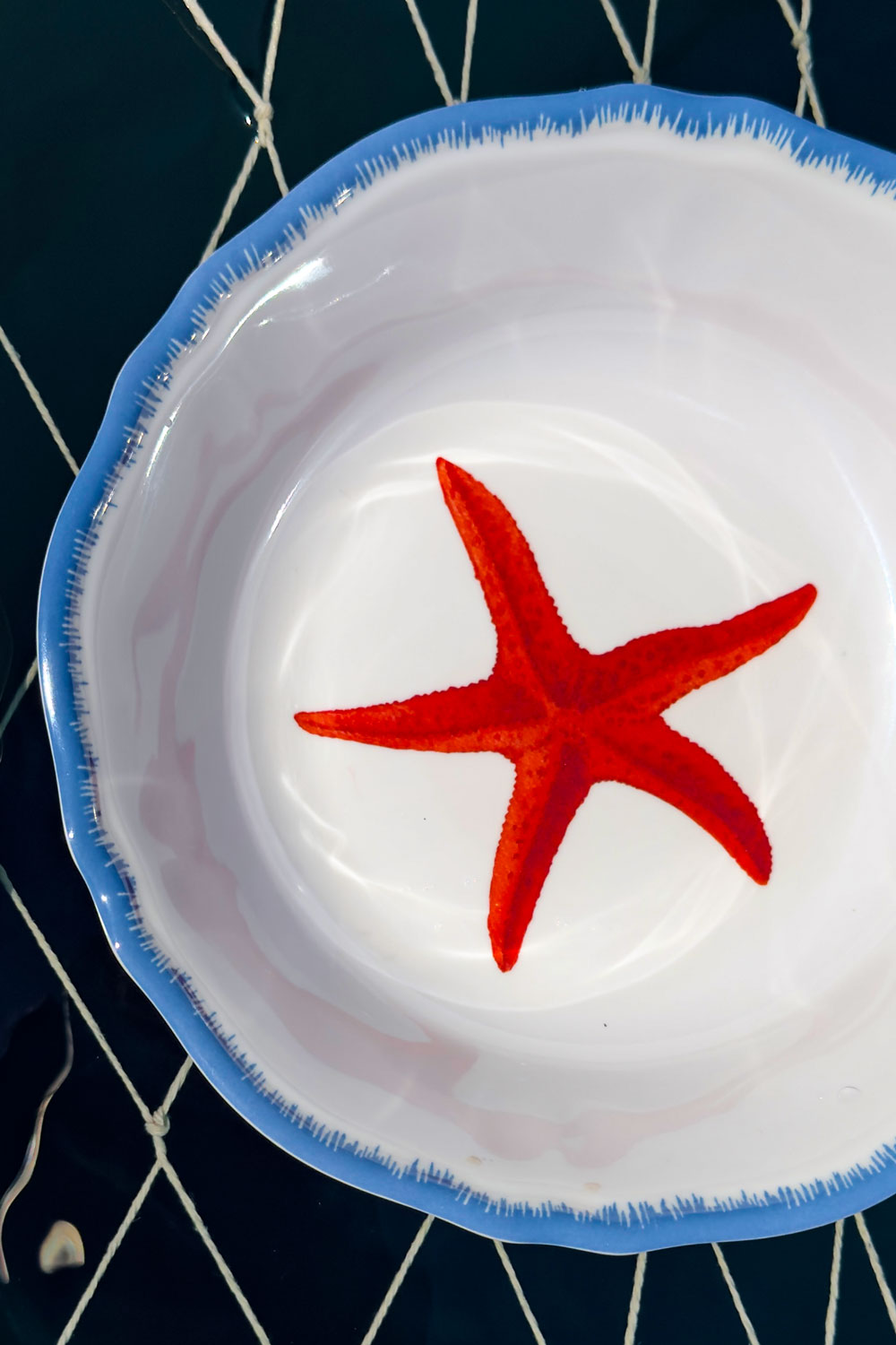 Detalles Plato Hondo De Melamina Estrella De Mar Cristina Oria