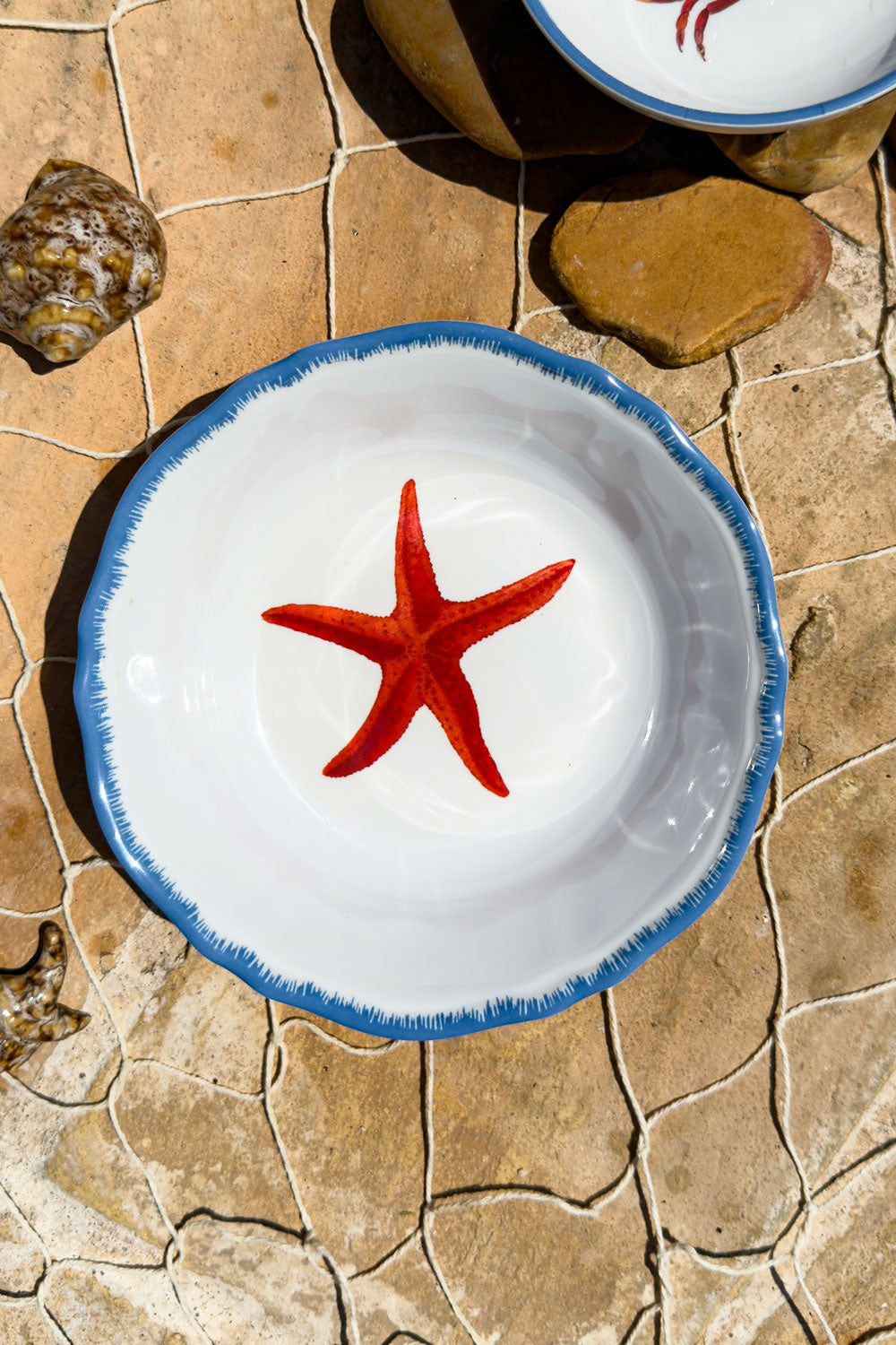 Plato Hondo De Melamina Estrella De Mar Cristina Oria