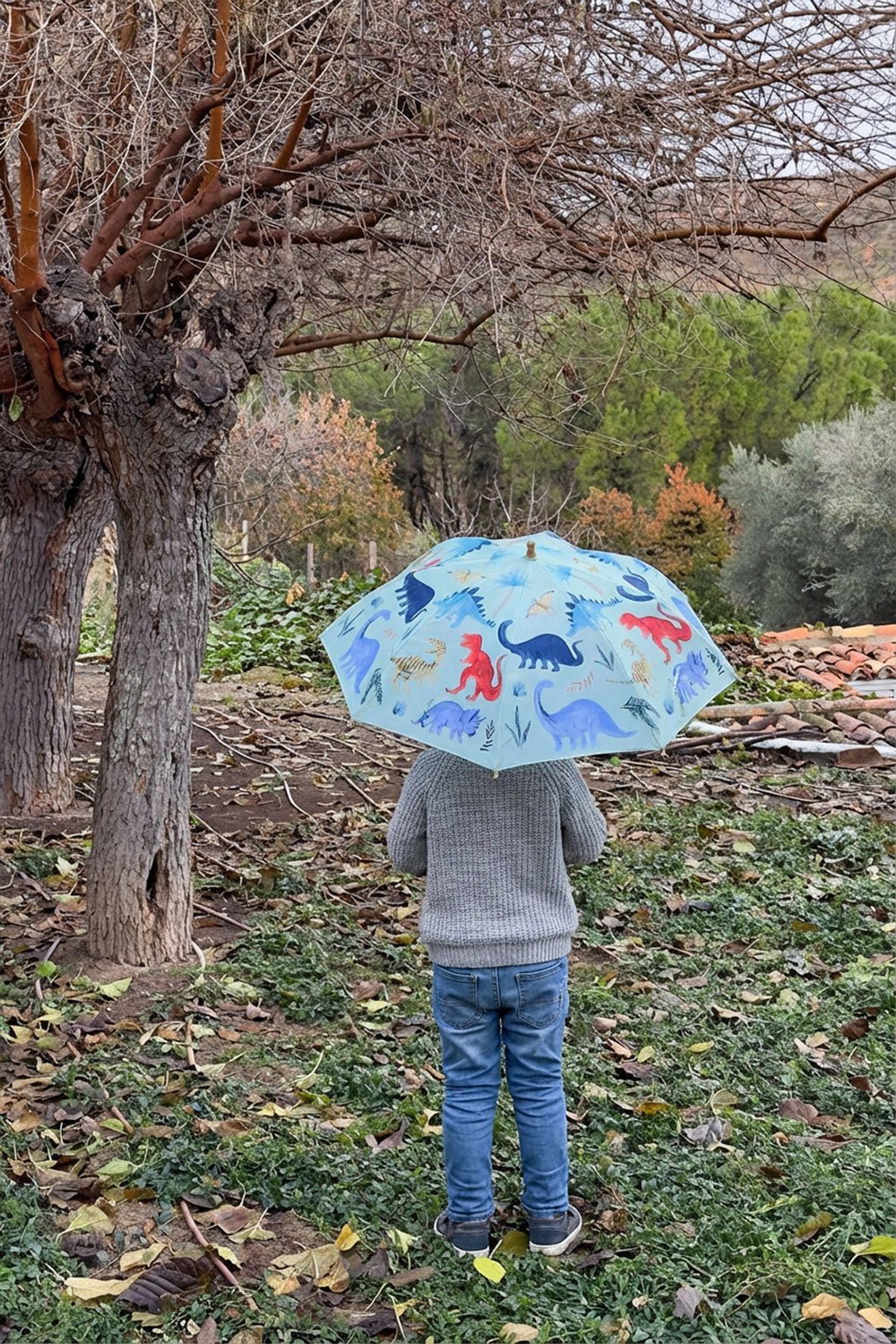 Paraguas Infantil Diseño Dinosaurios Cristina Oria 