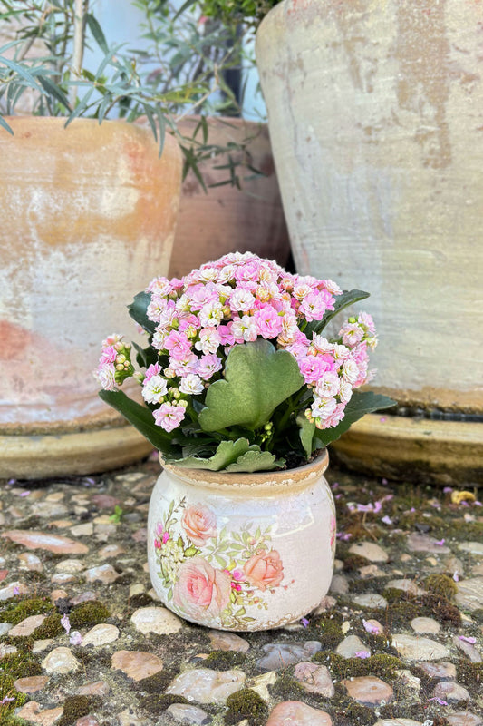 Jarrón Ánfora Diseño De Rosas & Flores Rosas Día De La Madre