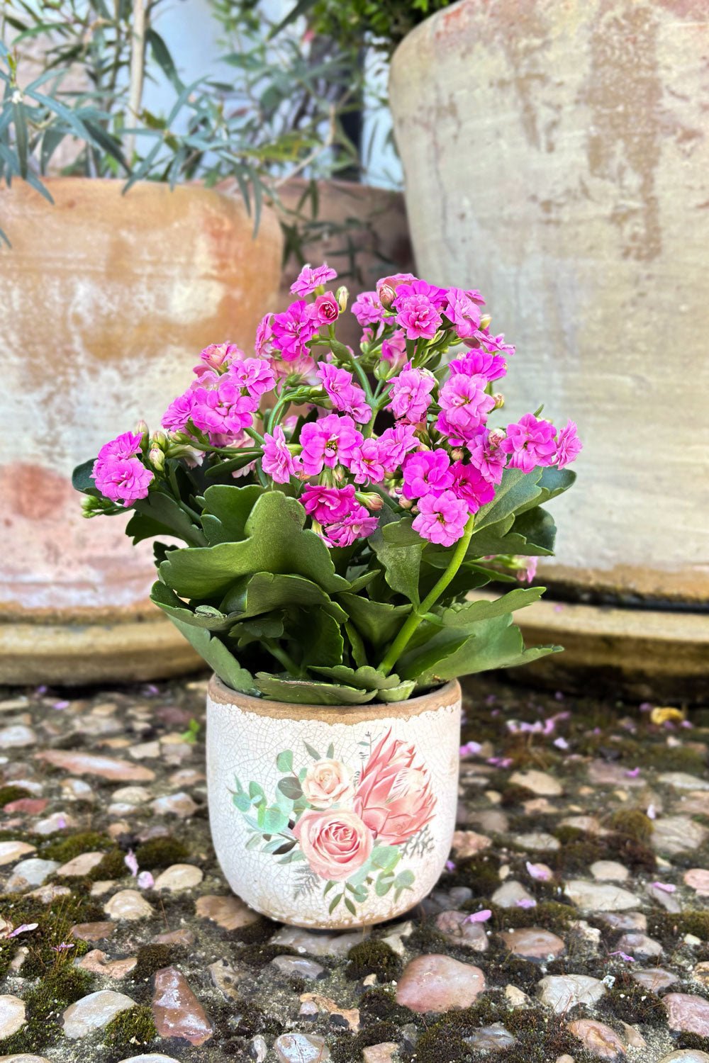 Jarrón Envejecido Con Diseño De Rosas & Flores Rosas Cristina Oria
