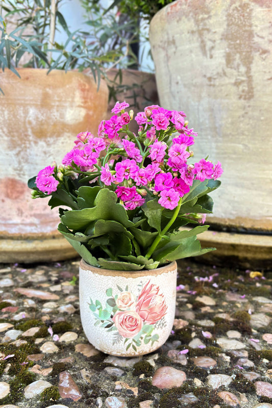Jarrón Envejecido Con Diseño De Rosas & Flores Rosas Cristina Oria