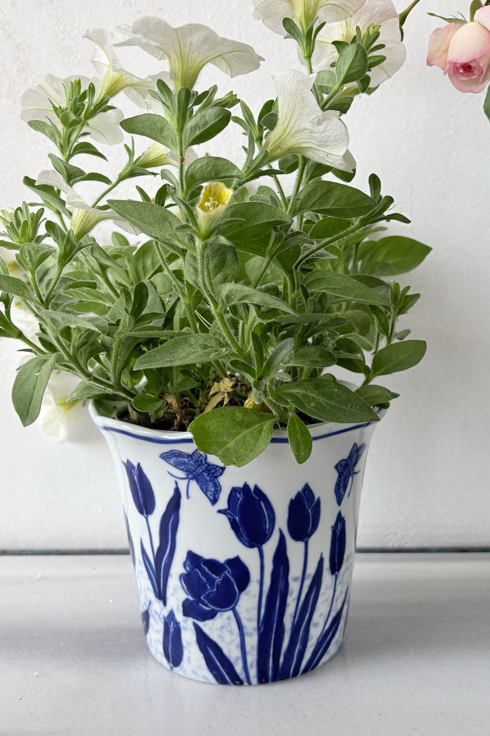 Macetero Diseño Tulipanes Azul Y Blanco Cristina Oria
