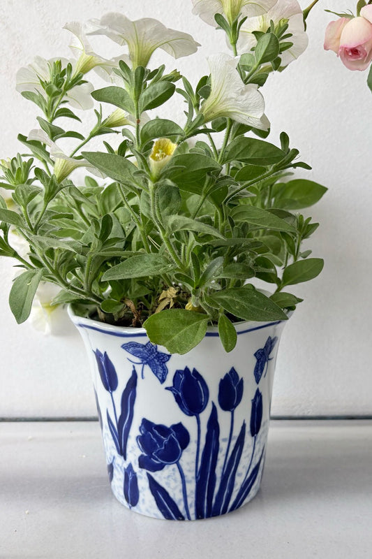 Macetero Diseño Tulipanes Azul Y Blanco Cristina Oria