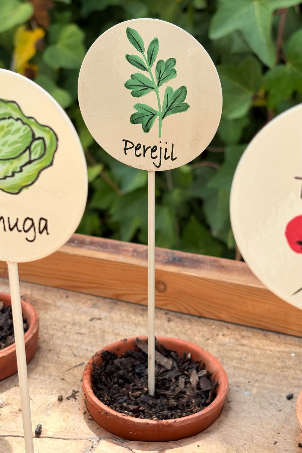 Gartenschild Petersilie